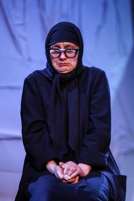 Costina Cheyrouze — The Mother — “Ghosts and Dandelions”, 2025